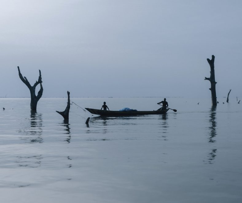 Danau Volta